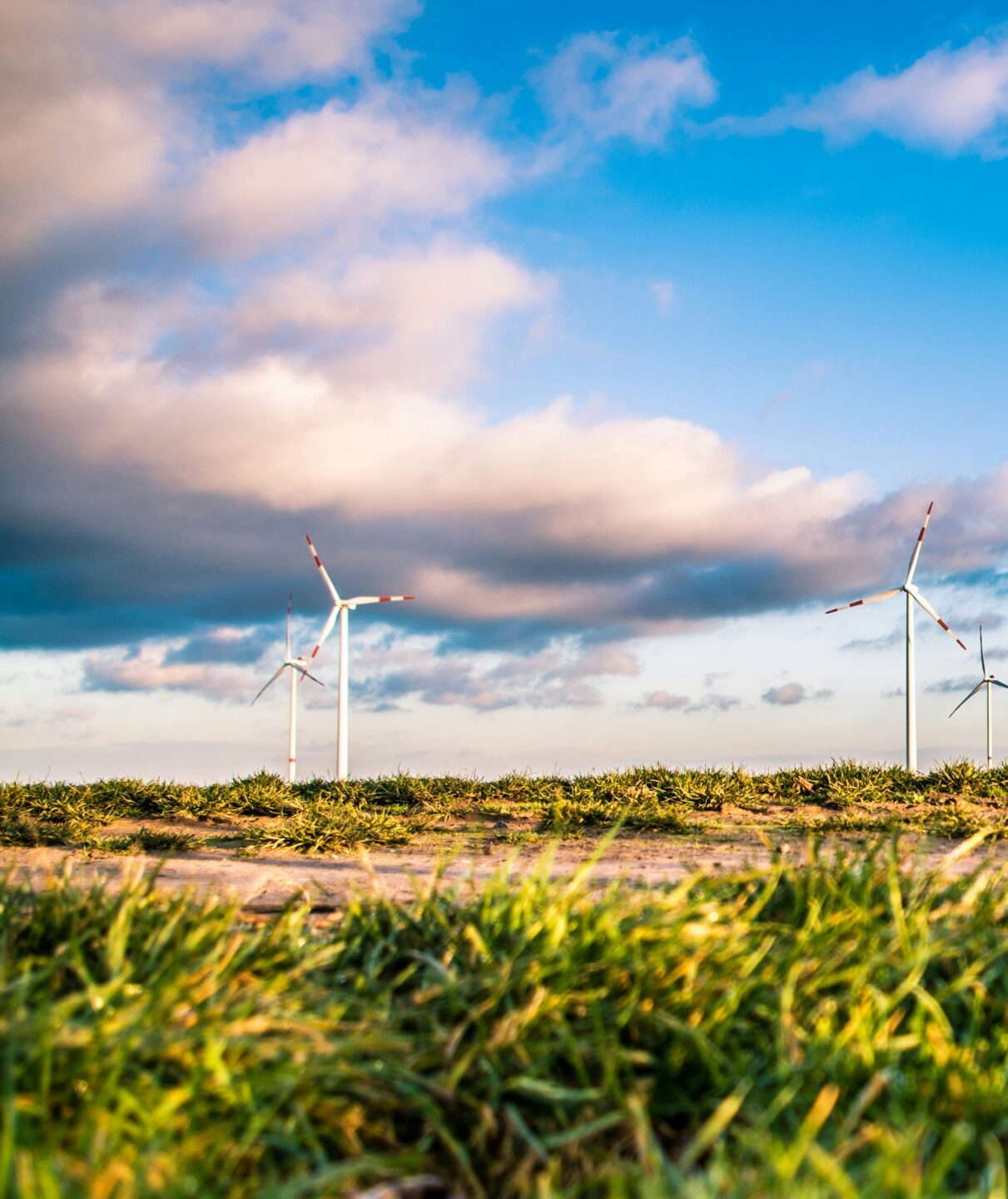 A picturesque landscape with windmills in the background.